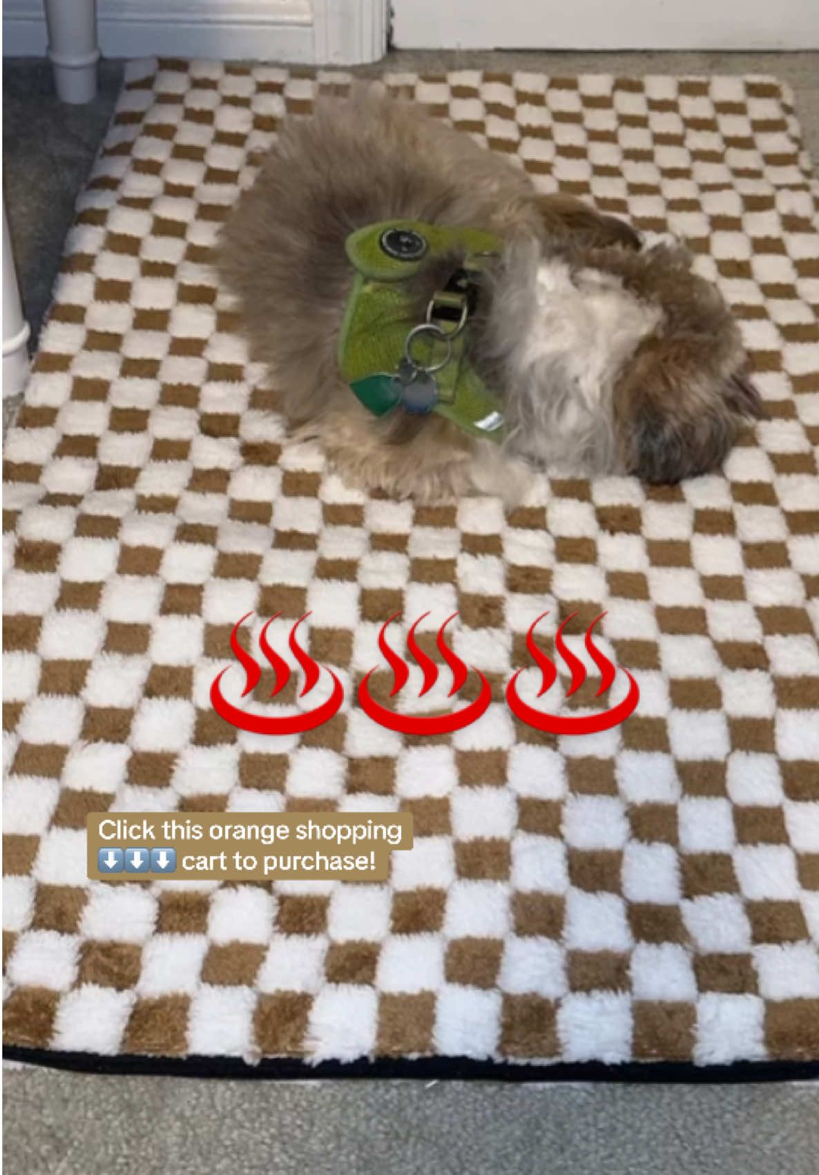 My Shih Tzu is such a snuggle buddy. He rarely wants to leave my side or his bed. I got him this heated dog pad on the TikTok shop.,  and it’s his new favorite spot! I want to get one for every dog parent i know! Dogs need christmas gifts, too! ☺️☺️ ##heatingpad##dogmom##shihtzu##shihtzusoftiktok##shihtzupuppy##shihtzus##shihtzulove##tiktokshopholidayhaul##tiktokshopblackfriday##hotdog##tiktokshopcybermonday##dogbed##dogdad##giftideas##fypシ