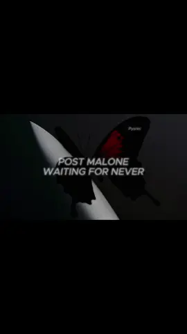 First Lyrics @postmalone#postmalone #waitingfornever #waitingforneverpostmalone