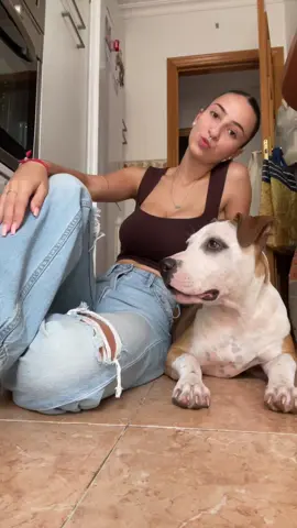 Me bebe grande🫶🏻🤎 #fyp #pitbull #perro 