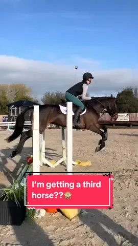 molly and the greys + bay maybe??🙈🤭🫶🏼 Thank you to Connaught Sport Horses for a great day - ALSO MASSIVE thank you to the girls who came to meet me and stayed to film, you are such gems and it was amazing to meet you!!🥰🩷 #equestrian #equine #horsegirl #horsetok #equestrianvibes #horsesoftiktok #equestrianlife #fyp #fypシ゚ #abcxyz #foryou #xyzbcafypシ #horseriding #connemara #