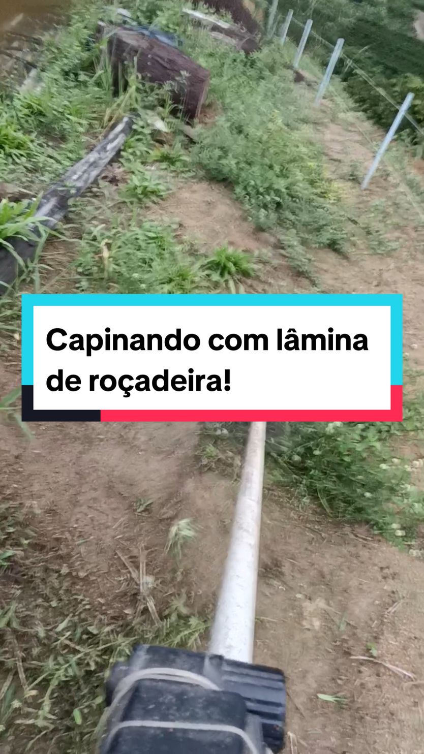 #trabalhoduro #trabalho #roçar #jardim #jardinagem #ficaadica #dicas 