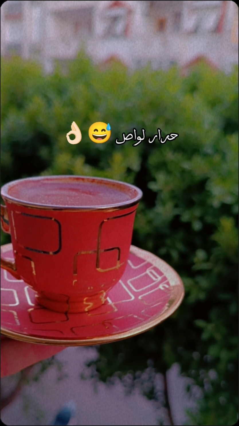 برا ولك😂👌🏻#🦋ساندي🦋  #العشق_البني_قهوتي☕🤎 #CapCut 