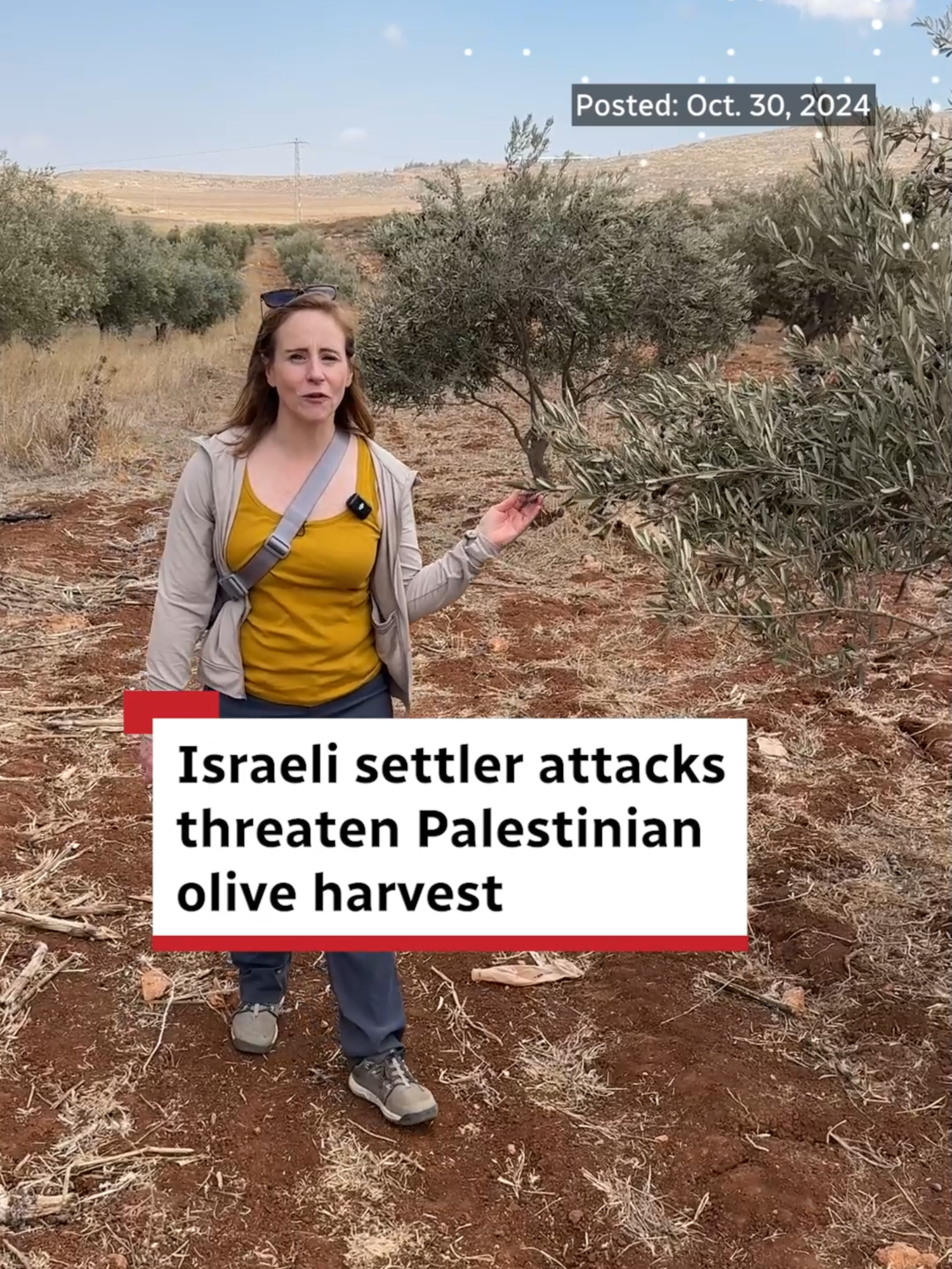 Israeli settlers have used the war on Gaza to impose severe restrictions and violence on Palestinian farmers during the olive harvest season, which is an economic lifeline in the West Bank. We spoke to farmers who are afraid to venture out into the fields to make their livelihoods. #Gaza #Israel #Olives #Palestinian #CBCNews