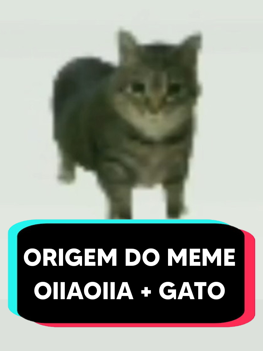 GATO OIIAOIIA: A História do Meme Que Hipnotiza Humanos e Gatos@queenfatethel  #gato #oiiaoiia #memesbr #trends #ethel