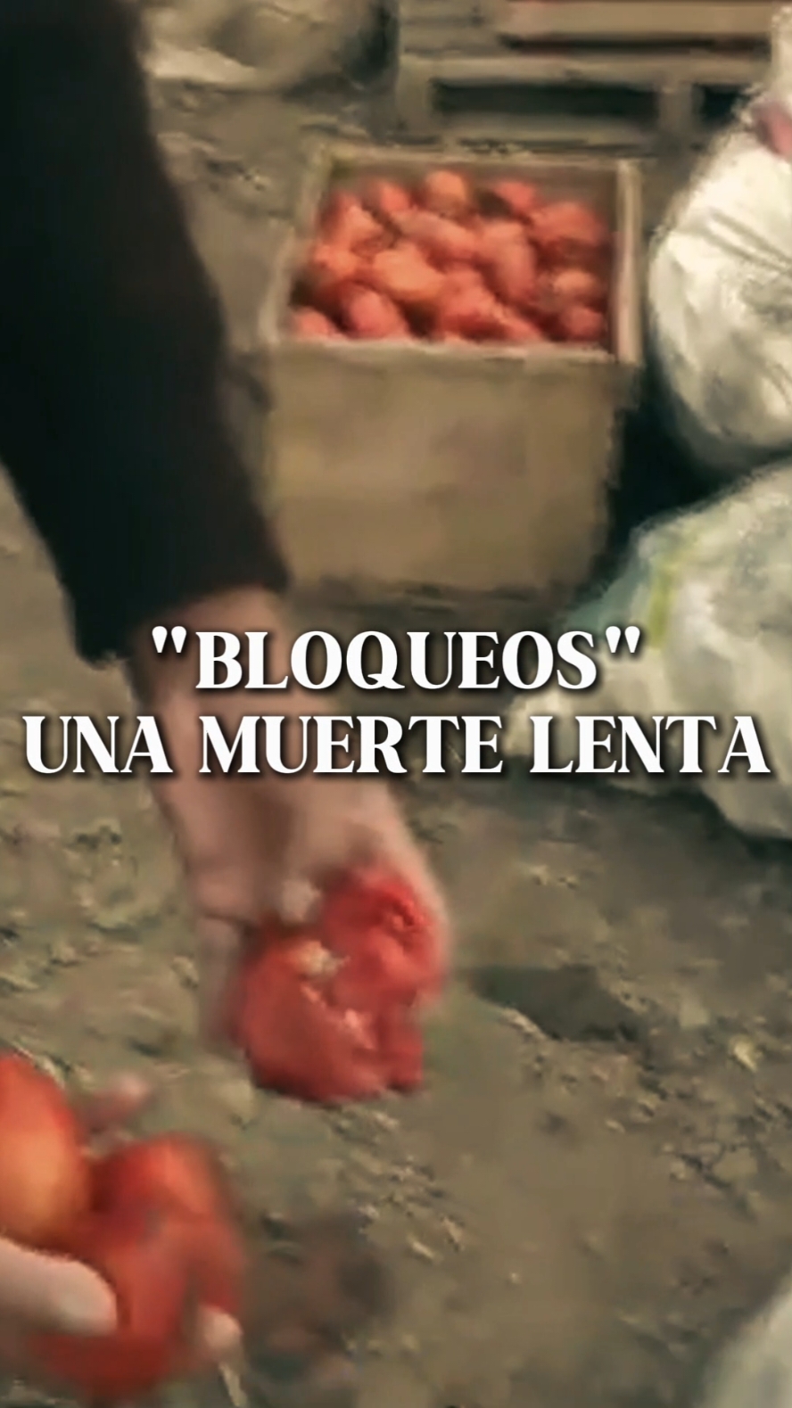 Está es la vida de los Bolivianos, siendo sacudida por culpa del Masismo, "Bloqueos" una muerte lenta. #bloqueos #evomorales #bolivia🇧🇴tiktok #cochabamba_bolivia🇧🇴 #lapaz_bolivia🇧🇴 #santacruzdelasierra🇳🇬 #urgente