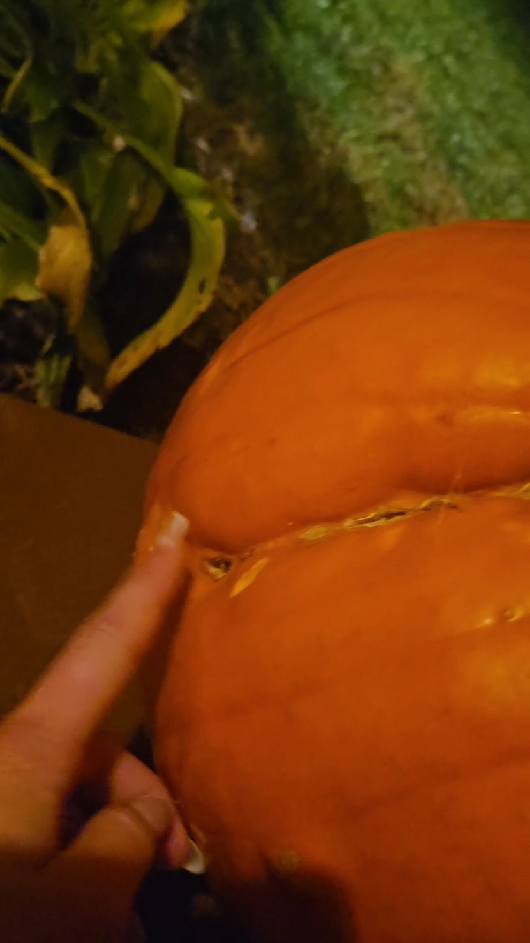 ahh pumpkin 🎃 #trynottobust😫😫 
