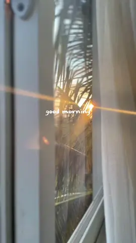 Good Morning 🫶🏻#morningvibes #foryoupage❤️❤️ #views #sunrise 