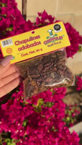Just a few items that I purchased while at the airport de Oaxaca! Would you try some spicy chapulines?!! Aka Grasshoppers?  #oaxacamexico #airportlife #aeropuerto #chapulines #mezcal #whatibought 