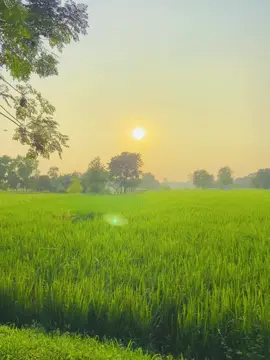 silence is the best revenge ❤️‍🩹🌸#foryou #viralvideo #foryoupage #viralvideo #unfreeze #foryou #viral #fyp #jisan845 