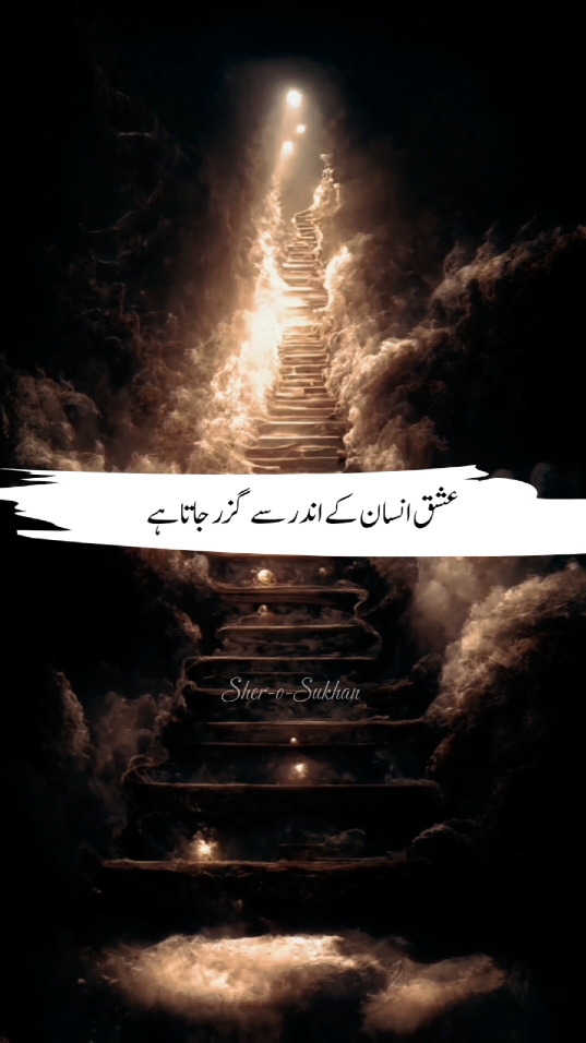 عشق انسان کے اندر سے گزر جاتا ہے  #urdupoetry #fyp #shayari #poetrystatus #foryoupage #sherosukhan 