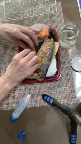 焼さば弁当の制作動画です #工作 #作ってみた #食品サンプル #おすすめ 