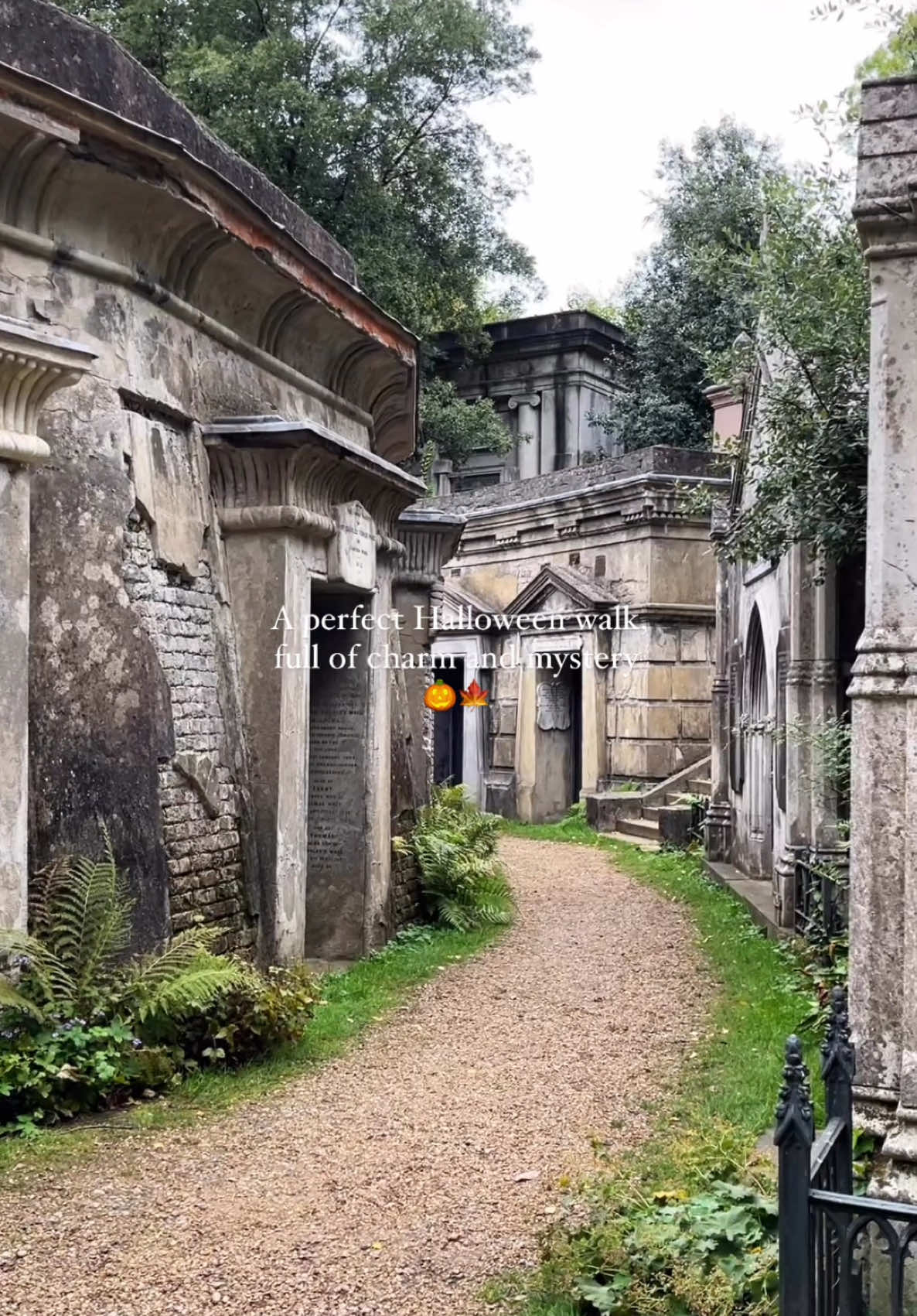 Imagine wandering through a serene yet eerie landscape, where ivy-covered tombstones hold stories of poets, philosophers, and icons of history… One of London’s most enchanting Halloween strolls awaits, where legends like Karl Marx and George Eliot are laid to rest. 📍Highgate Cemetery #my_ldn #halloween #londonlife #london🇬🇧 #visitlondon #highgatecemetery #highgate #londonhalloween #londonforall #londonthingstodo 