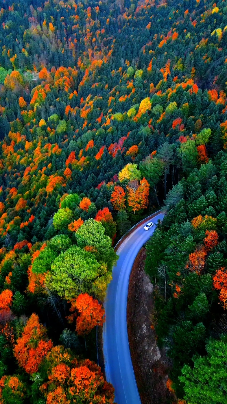 An itibariyle yedigöller yolu 🍁🍂