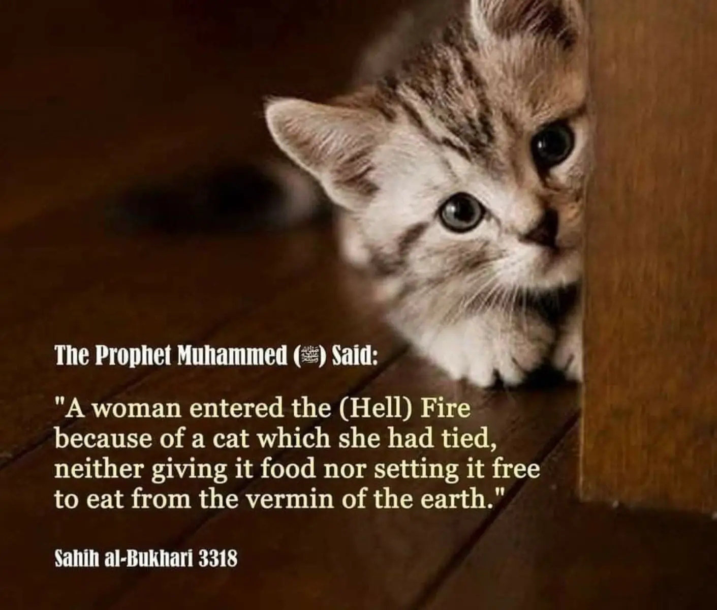 #fyp #4you #islamic_reminders #explore #explorepage✨ #foru #fouryou #islamic_video #islamic #duo #dubai #dubai🇦🇪 #videoviral #popular #pakistan #pakistani_tik_tok #africa #african #africantiktok #tik_tok #tiktok_india #nigeria #nigerian #muslim #muslimtiktok #muslimcountries #indonesia #indonesia🇮🇩 #indonesiatiktok #malaysia #malaysiatiktok #bangladesh #bangladesh🇧🇩 #prophetmuhammad #hadith #peace #live #twitch #modest #fyp #fypsounds #fyppp #foryoupage❤️❤️ #foryo #foryoupagе #foryopage #foryoupge #growmyaccount #following #followback #tranding 