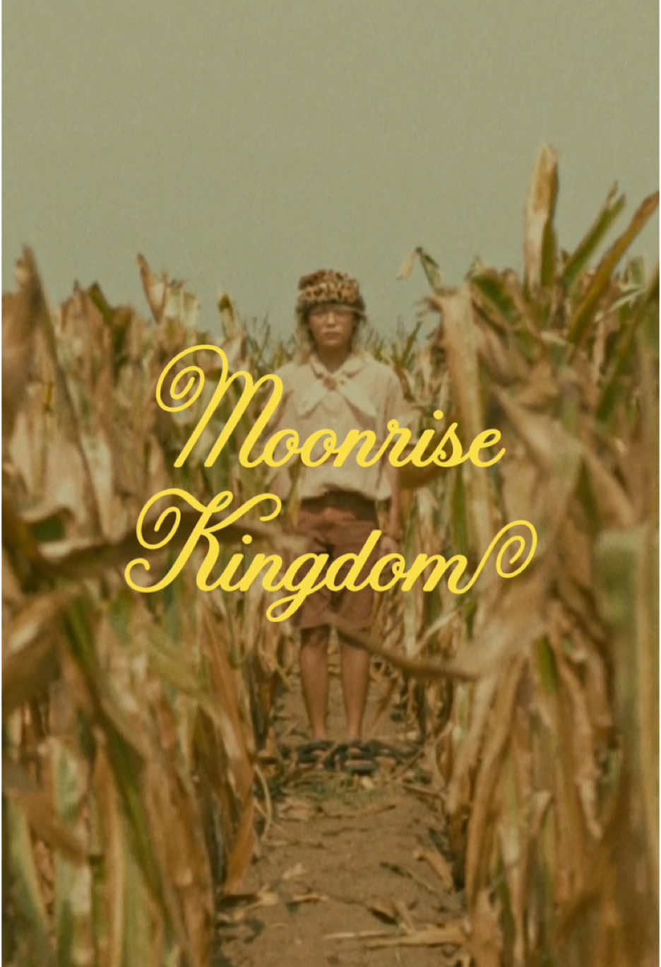 What kind of bird are you? 🌾#moonrisekingdom #filmtok #halloween #cinematic #wesanderson #fyp 