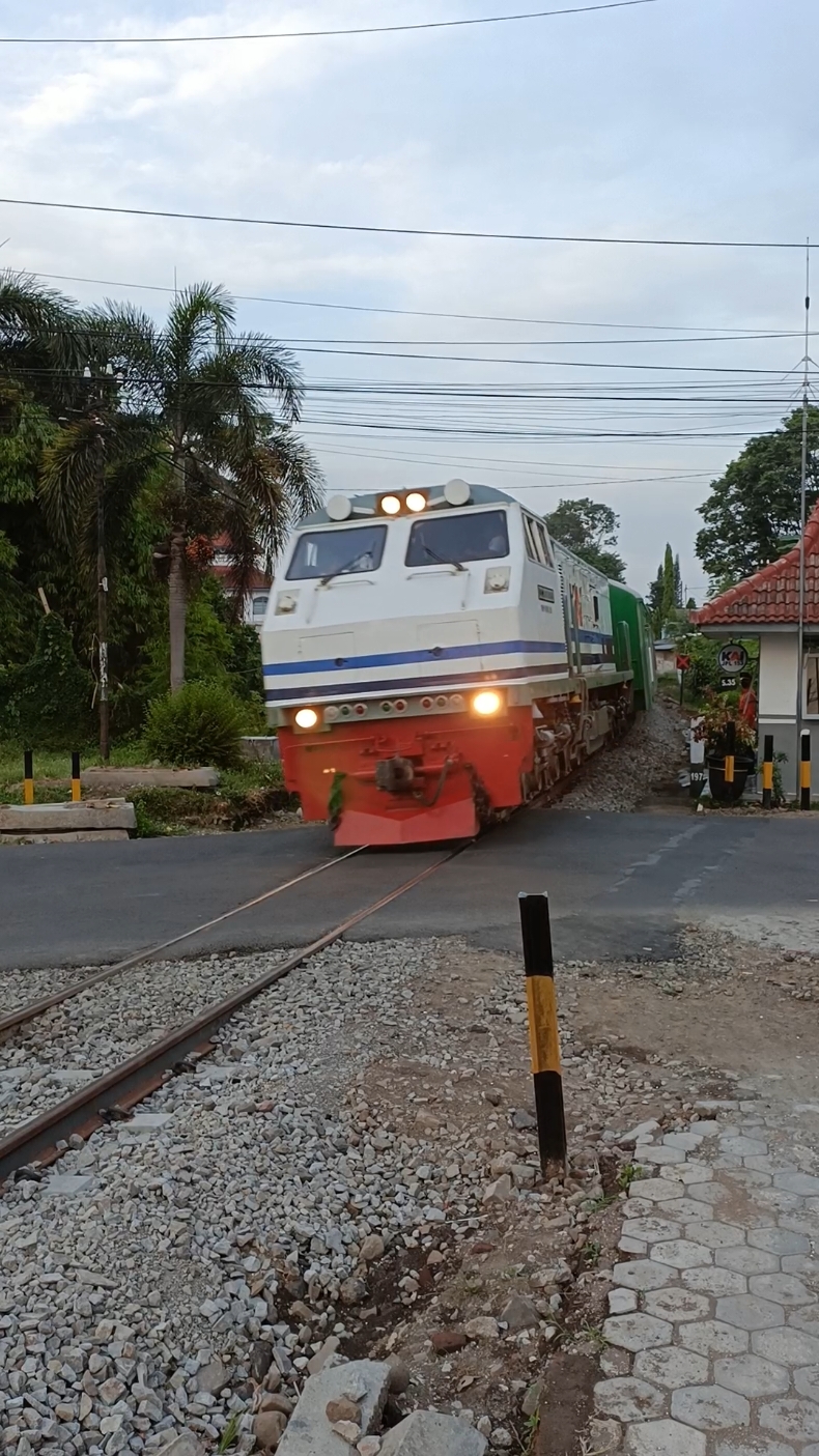 KA Blambangan Ekspres ⚪🔵 #ilhammulyono #blambanganekspres #cc2030203 #wnb #kai #keretaapi #sepur #train #daop9 #jpl153 #jember 