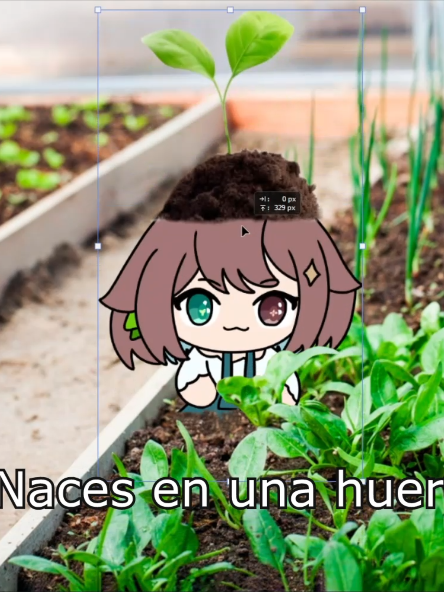 Eres una planta 👻🌱👻🌱 #meica #meica05 #voidmeme #ensalada #espinaca #meme #parati