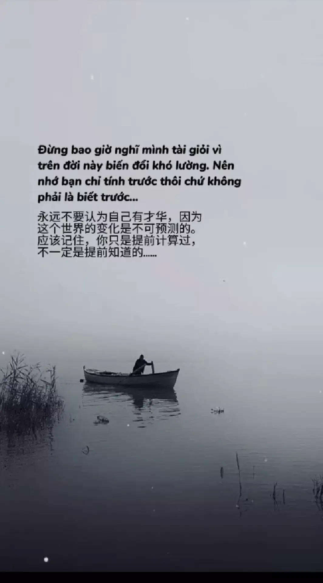 ĐỪNG BAO GIỜ NGHĨ MÌNH TÀI GIỎI...#daolivedoidong