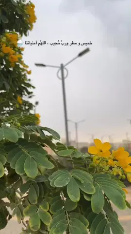 #خميس و مطر وربٌ مُجيب ، اللهُم أمنياتنا🌧️#غيم #الجو 