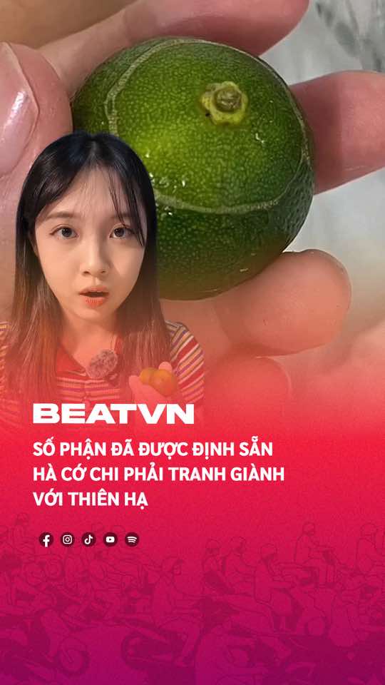 Số phận của quả quất đã được định sẵn rồi #beatvn #beatoflife #beatnetwork #quat