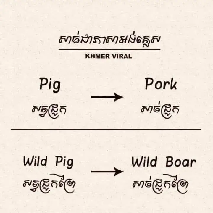 English words 🥰🙏  #learing  #dailypractice 