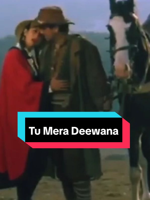 another lyrics of Maharaja (female version) #tumeradeewana #maharaja #manishakoirala #govinda #maharaja 