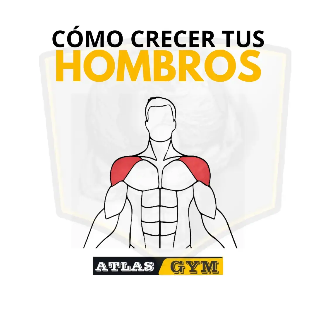 No sabes cómo entrenar tus hombros?  Los hombros son uno de los grupos musculares más comúnmente usados en la parte superior del cuerpo. Unos hombros fuertes hacen que tus brazos sean capaces de coger y soportar más peso, aguantar cargas durante más tiempo y además mejorarán tu apariencia física. Una rutina de entrenamiento debe ser completa, esto es esencial, de no hacerlo se produce lo que sucedería al no entrenar los hombros: una descompensación. En el caso concreto de este músculo, las consecuencias pueden provocar un desequilibrio entre el cuello, el resto del cuerpo y esta zona. Frecuencia: hacer un entrenamiento específico de dos días a la semana para ganar masa muscular, fortalecer y subir volumen. No se debe hacer más de 6 series al día porque podemos forzar de tal manera que acabemos sobrecargando o lesionándonos. En total unas 10-12 series a la semana, distribuidas en dos sesiones. Si bien es posible que puedas ver una pequeña cantidad de crecimiento en los hombros en tan solo 2 o 3 meses, puede llevar de 6 a 12 meses o más desarrollar los hombros de piedra que deseas. ¿Cuál es el músculo principal del hombro? El músculo deltoides es el principal músculo que da la fuerza de elevación del hombro, para que podamos levantar los brazos por sobre la cabeza. Para que el deltoides pueda lograr la elevación del hombro, es necesario que el hombro esté estable en su posición para que tenga un centro de rotación correcto. #Fitness #salud #gymmotivation #gimnasio #fyp #promociones #atlasgym #promociones #rutinahombros #hombros #guiahombros #hombrosworkout #hombrosgrandes #guias #gimnasioayacucho 