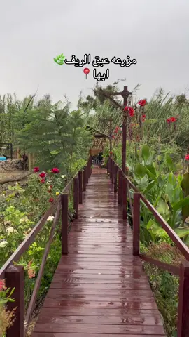 للاستفسار والحجوزات التواصل عبر الواتس 🌸 fyp #explore #مزرعة_عبق_الريف #منطقة_عسير #أبها #viral 