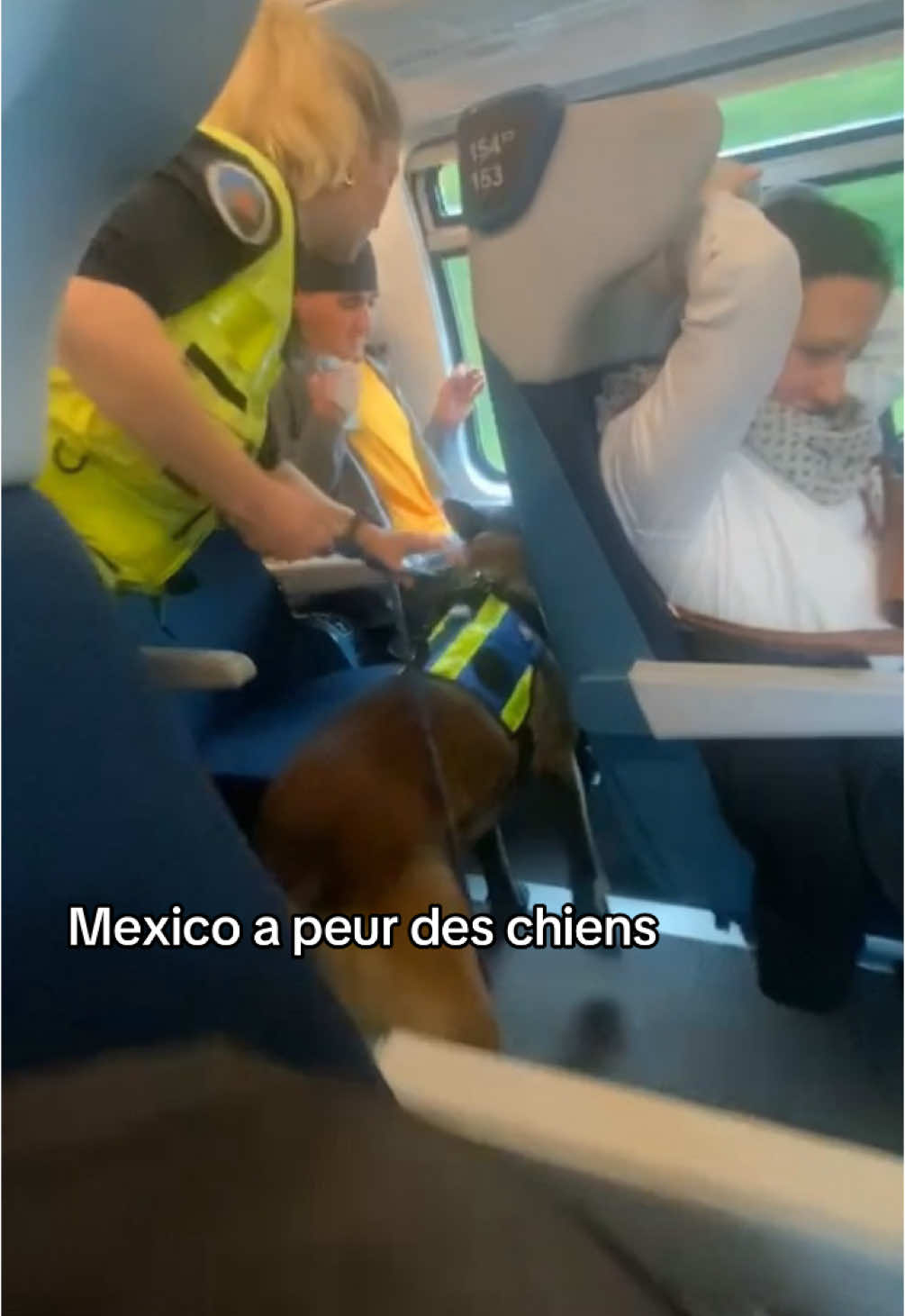 C’est des ouf eux #police #chien #train 