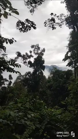 Healing terindah ⛰️#wisatakalimantan #bukittinggi #4u 