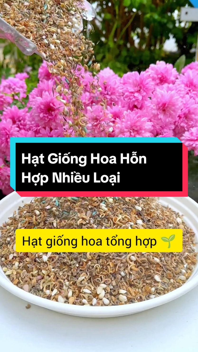 Hạt Giống Hoa Hỗn Hợp Nhiều Loại #hatgionghoa #hatgiong #hatgionghoatonghop #taplamvuon #xuhuong #muataitiktokshop