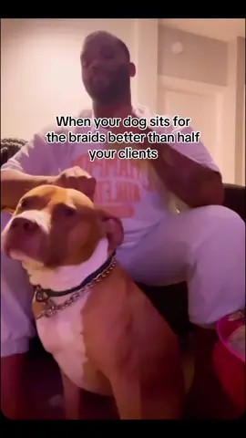 Next up: teaching him how to sit under the dryer 🐶😂🐾 #DogsOfTikTok #PetsOfTikTok #PetLife #FunnyVideos #ForYou #FYP #Viral #TikTokMadeMeDoIt #comedy #TrendingNow#LifeHacks #Braids #GlowUp #PetCare #foryoupage #braider #funnytiktok #relatable  Credits: @Notkarltonbanks @Karlton Humes 