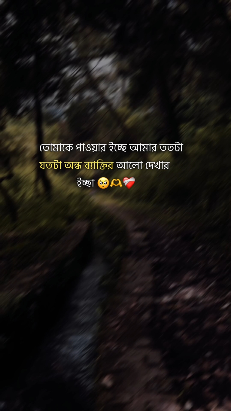 তোমাকে পাওয়ার আমার অনেক ইচ্ছে 🥺🫶❤️‍🩹 #vairal #fyp #tiktokviral #status #bangla #vairalvideo #bangladesh #foruyou #foryou #tiktok #tiktokindia 