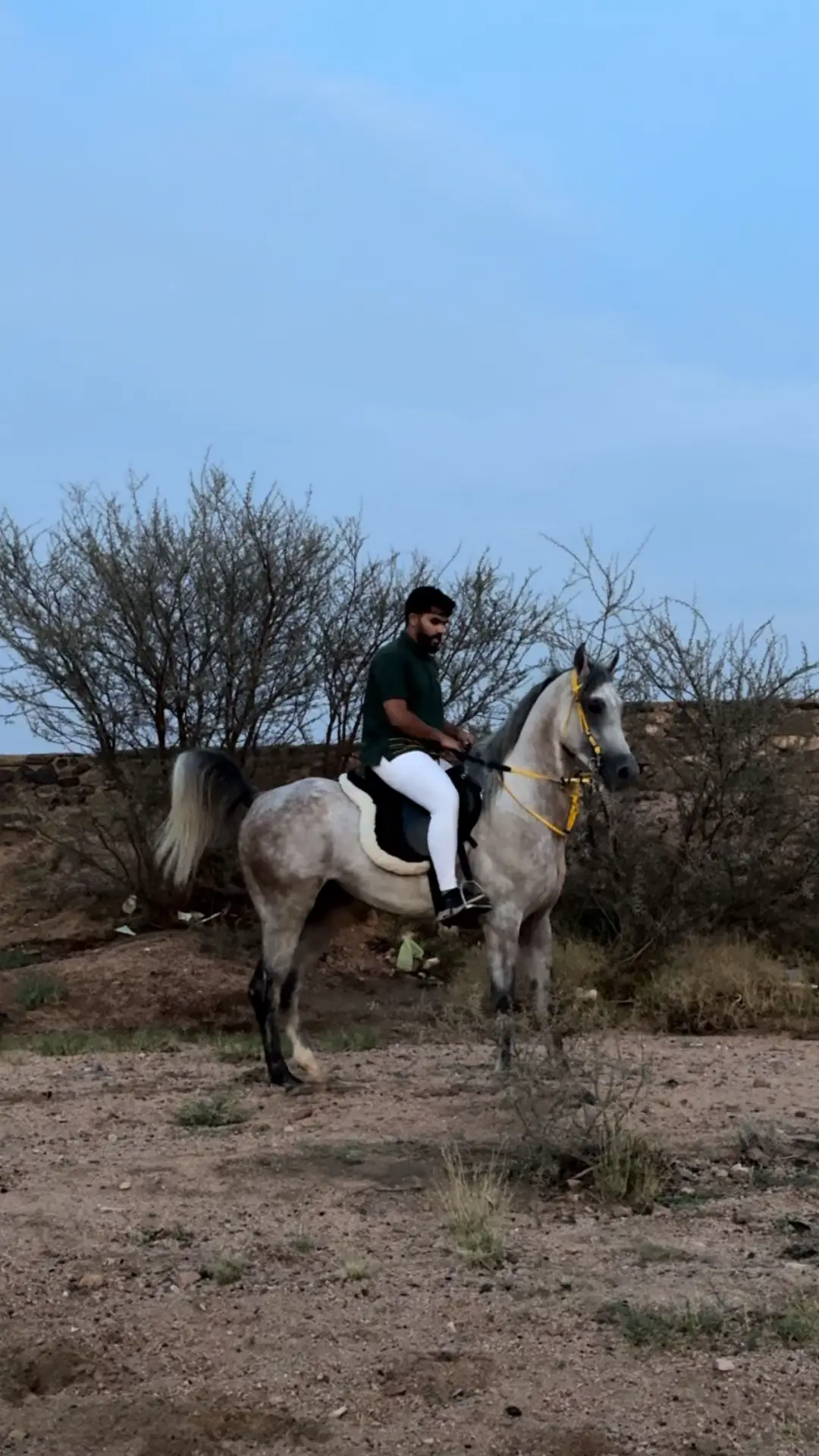 #خيل_وخياله🐎 #فرسان #مربط_صهوة_العز_الواصلية 