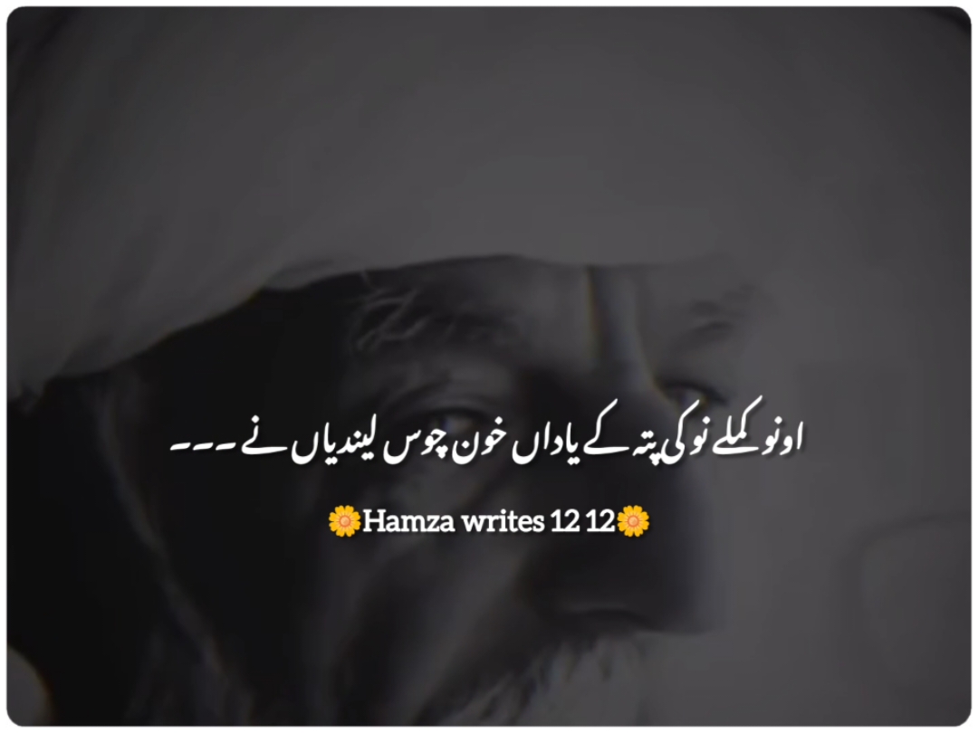 یاداں خون چوس لیندیاں نے❤️👿💯#fypシ゚viral #punjabilines #punjabipoetry #punjabidohra #punjabishayari #burhan_tv #dilkibaat #growmyaccount #dountandervewmyvideo #unfrezzmyaccount #hamzawrites1212 