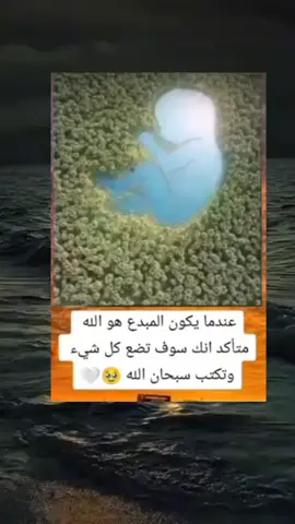 #اكتب_شيء_تؤجر_عليه🌿🕊 #اجر_لي_ولكم #صدقه_جاريه #fyp 