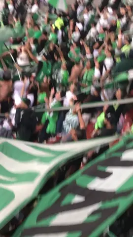 Rojo hpta vos vas a llorar!!🇳🇬#losdelsur #atleticonacional #clasico #parati #viral #viraltiktok #fyp #fypシ #paratiiiiiiiiiiiiiiiiiiiiiiiiiiiiiii 
