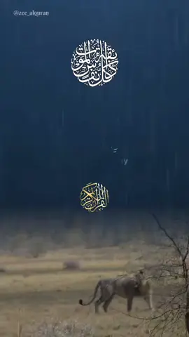 #كل_نفس_ذائقة_الموت  #القران_الكريم #راحةنفسية  #viral #viraltiktok #viralvideo #fyp #foryoupage #trending 