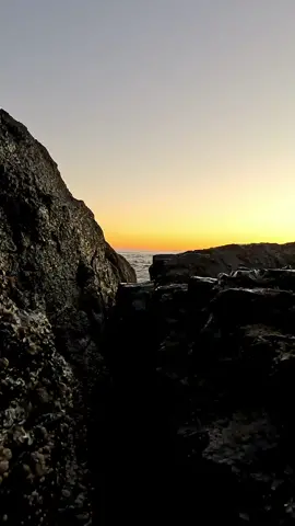 These narrow crevices in the rocks make for some pretty unique splashes 😍 #nature #ocean #sea #sunset #oregon #pnw #oregoncoast #explore #adventure 