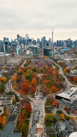 Autumn Leaves 🍂  🎥: @v.s.film 📍Toronto, Canada . . . . #toronto #canada #canadatravel #ontario #october #autumn #autumnvibes🍁 #fall #fallseason #sweaterweather #imagesofcanada #tdot #rediscoveron #aerialviews #canadavisuals #explorecanada #cityscape #cinematic #streetsoftoronto #blogto #dailyhiveto #yyz #explore #tdot #explorepage #drone #droneviews #dronepilot #dji #cinematicvideo 