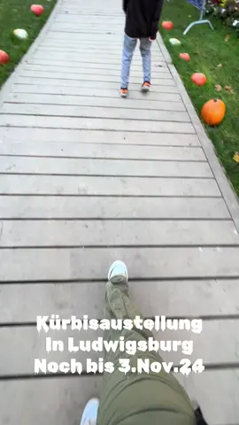 Kürbisaustellung in Ludwigsburg, Baden-Württemberg🤩🥰🎃#pumpkinseason#pumpkinparty#kürbis#europe#stuttgart#ludwisburg#kürbisausstellung#herbst#autumn#fyp#viralvideos#tiktok_india#tiktokindonesia#lewatberanda#jalanjalanonline#bundacorla#germany#deutschland#viralditiktok#deutshland🇩🇪#ausflug#