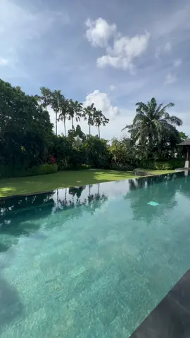 Discover Villa Puri Padi, the perfect escape in Canggu 🏖️ Just a 4-minute walk from the beach, this stunning 5-bedroom villa stretches across 660 m² with a spectacular 25x5m infinity pool and lush tropical garden. Dive into paradise with luxurious en-suite bedrooms, expansive indoor-outdoor living spaces, and breathtaking views, all wrapped in Balinese charm 🌅✨  Feel at home with all-day cleaning, on-site security, and a dedicated villa manager to cater to every detail.  Ready to unwind, recharge, and explore the best of Bali? Book your stay and make unforgettable memories at Villa Puri Padi 🌺  #canggu #canggubali #canggulife #cangguvilla #villacanggu #bali #balivilla #villabali #balivillarental #privatevillabali #baliholiday #balivacation #visitbali #discoverbali #bestinbali