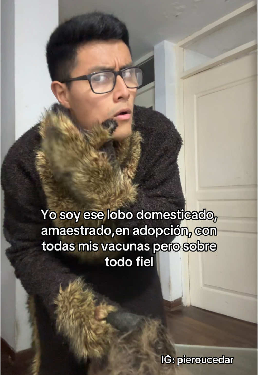 Adoptame, mami 🐺 #humor #fypシ #pierouceda #peru🇵🇪  gracias por el disfraz a @Disfraces Comercial Julissa 