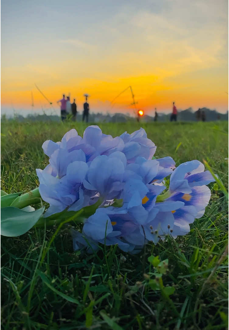 ᥫ᭡—ফুলের মতো হাসি ছড়াও, সুন্দর করে বাঁচো -//😊❤️‍🩹 #প্রকৃতি #sky #tree #fyp #fypシ #fypシ゚viralシ #unfrezzmyaccount #tiktok #shorts #song #weather #views #reels #nature #natural #scenery #foryou #trending #viral #viralvideo #sunset #flowers #NaYaN #NaYaN56 @TikTok @tiktok creators @TikTok Bangladesh 