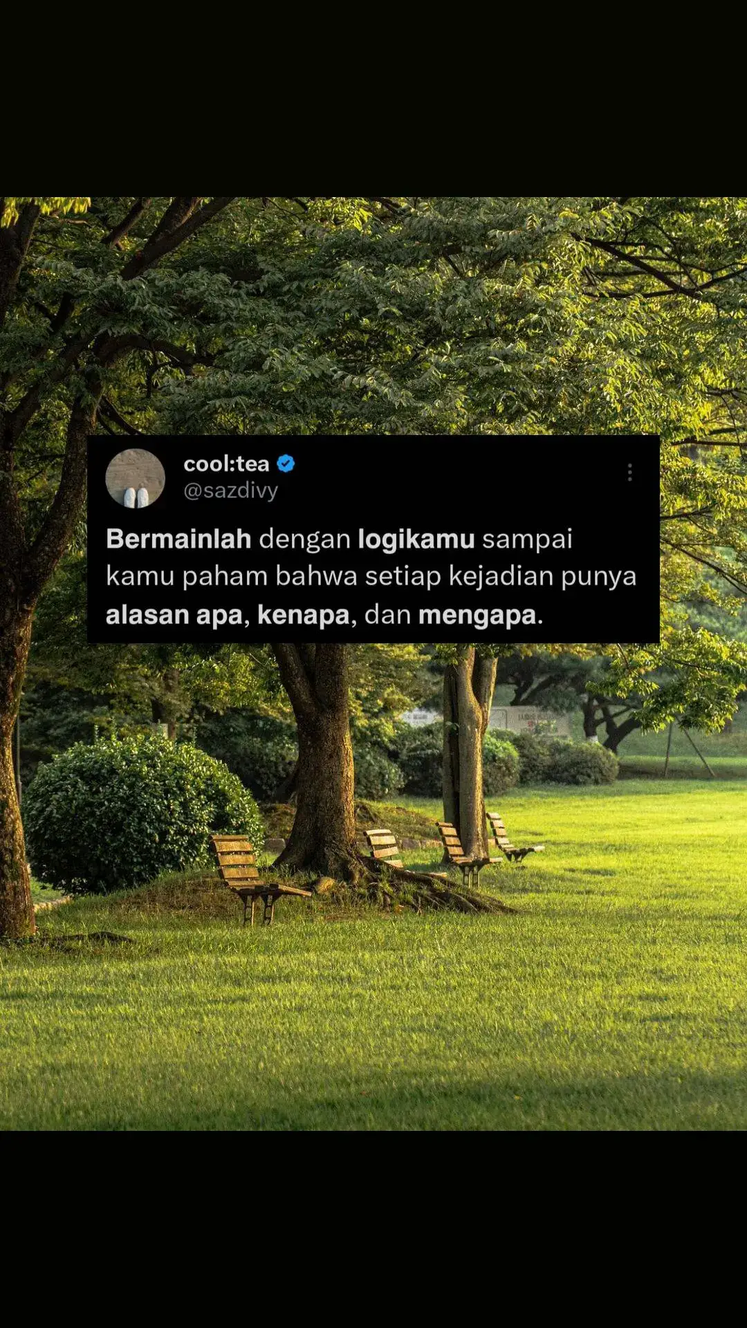 Karena setiap suatu kejadian tuh ada sebab dan bakal ada hikmahnya sih✨️ #quotes #quoteoftheday #katakata #Love #lovestory #lovequotes #bermain #logikamu #pahan #berjuang #belajar #moments #kejadian #alasan #kenapa #menyapa #mengapa #dihargai #dianggap #mehangai #memendamrasa #foryou #fyp #foryoupage #fypシ゚ #fypシ゚viral #fypage #4u #xyzbca 