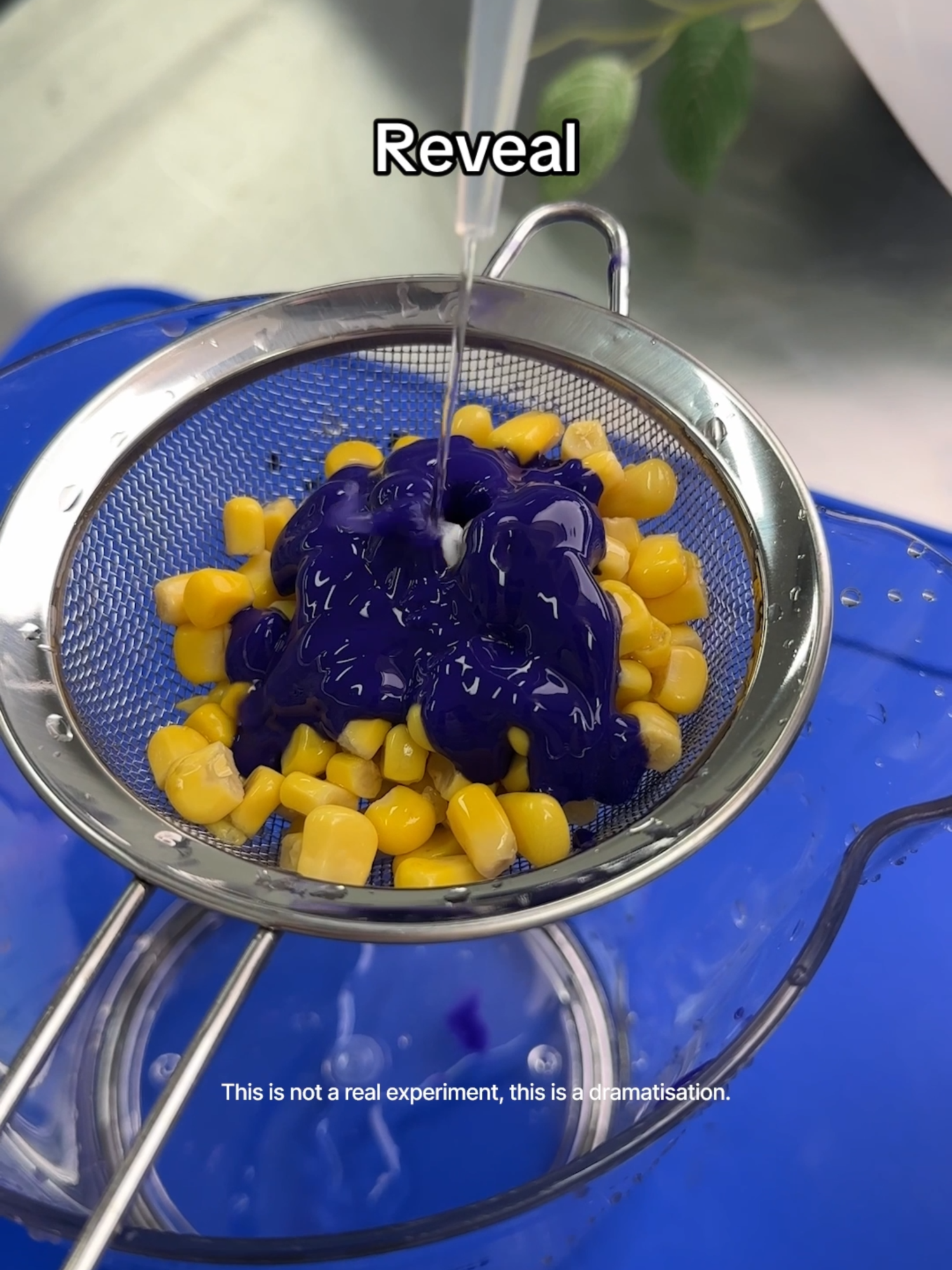 Wait until you see what happens! 😧 #shocked #corn #purple #ad