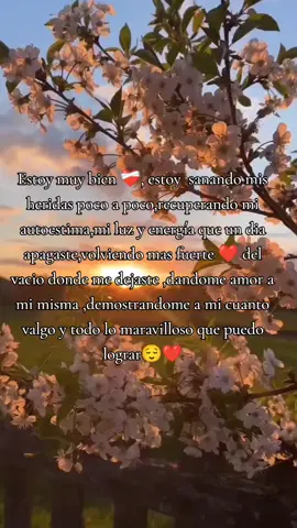 #amor propio#cada día más fuerte#🌻🌻🌻 #sanando Mis heridas
