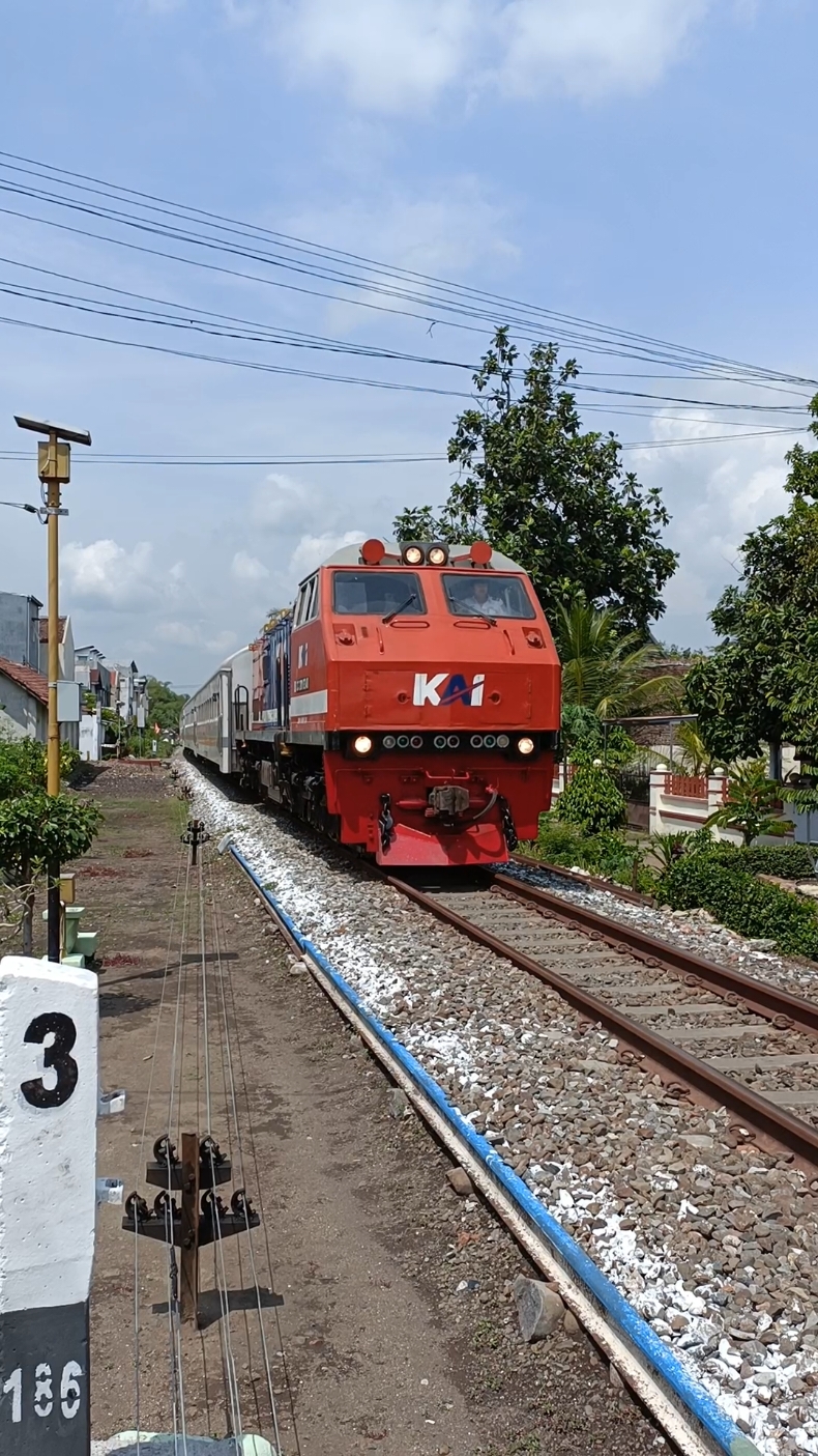 KA Probowangi 🔴🔵 #ilhammulyono #probowangi #rnb #cc2018348 #keretaapi #sepur #train #kai #daop9 #jpl130 #rambipuji #jember 