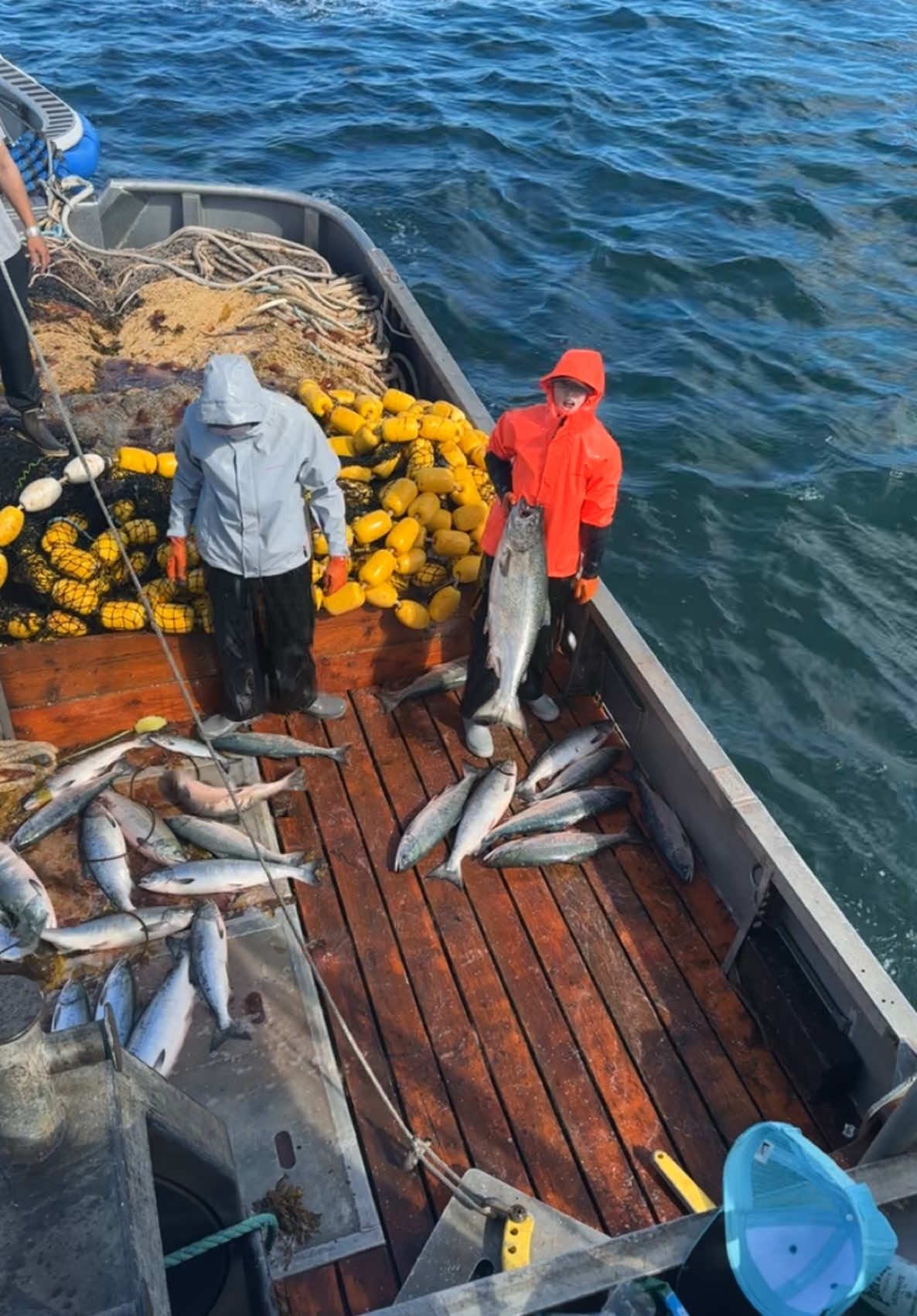 Girls fish too                                                   So proud of @🚶🏽‍♀️ @imnotyourtype🚶‍♀️ they’ve spend the last 3 summers fishing full time. Tougher than the boys their age and some men too 😂😅💪🏽🐟 #commercialfishing #fishing #kingsalmon #salmon #girlsfishtoo #girlsfishing #alaska #fyp #fypシ #viralvideo 