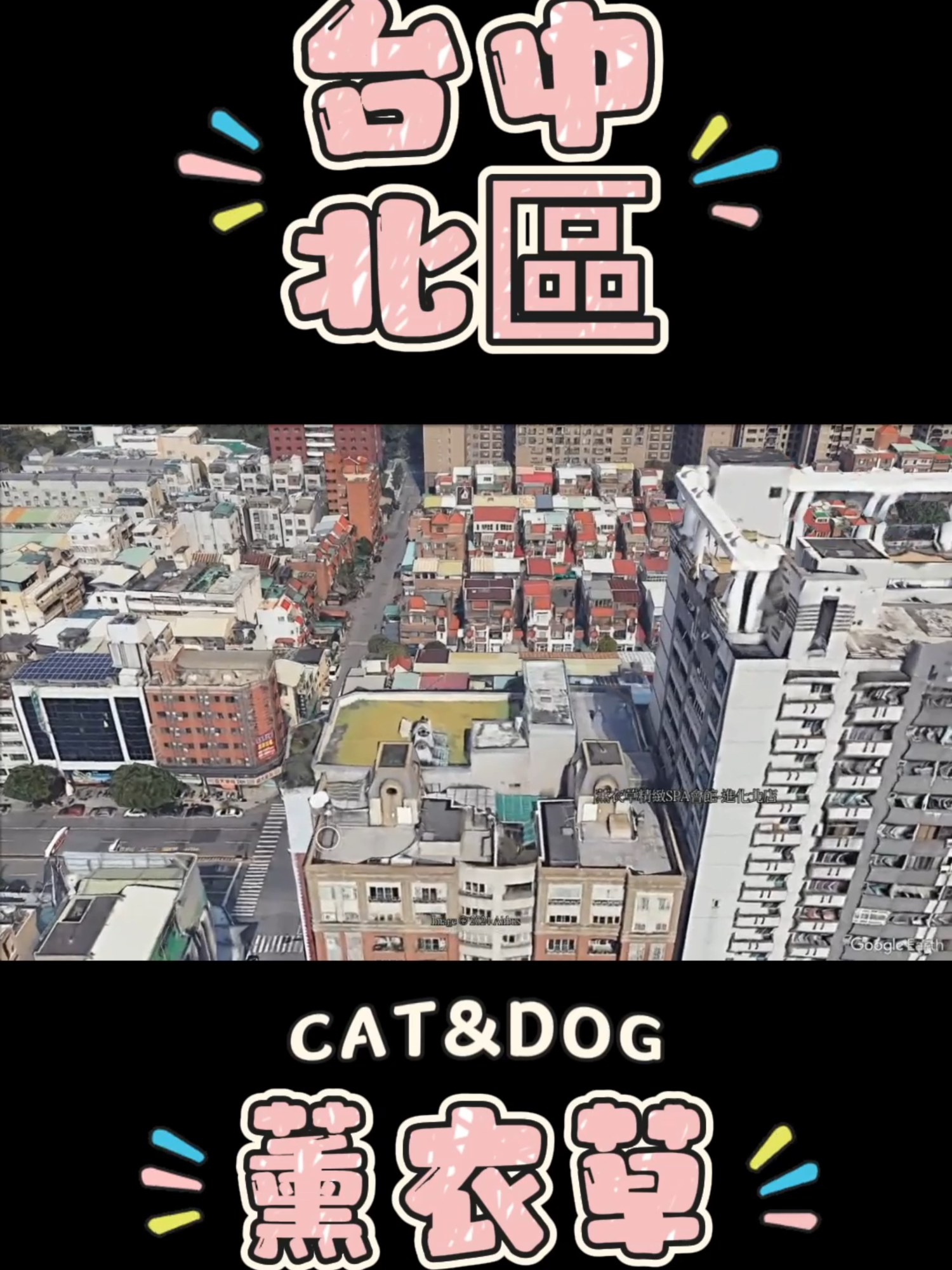 台中薰衣草，這間大家有去過嗎 #台中 #北區 #探店 #走店人生